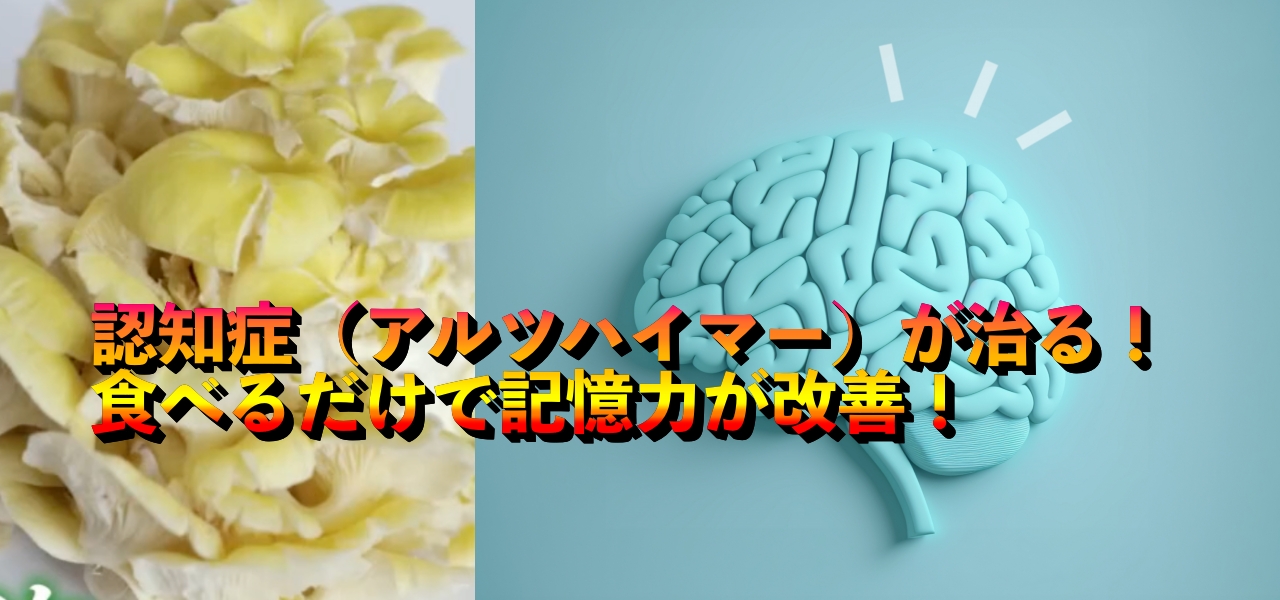 タモギタケのエルゴチオネインが認知症（アルツハイマー）を改善